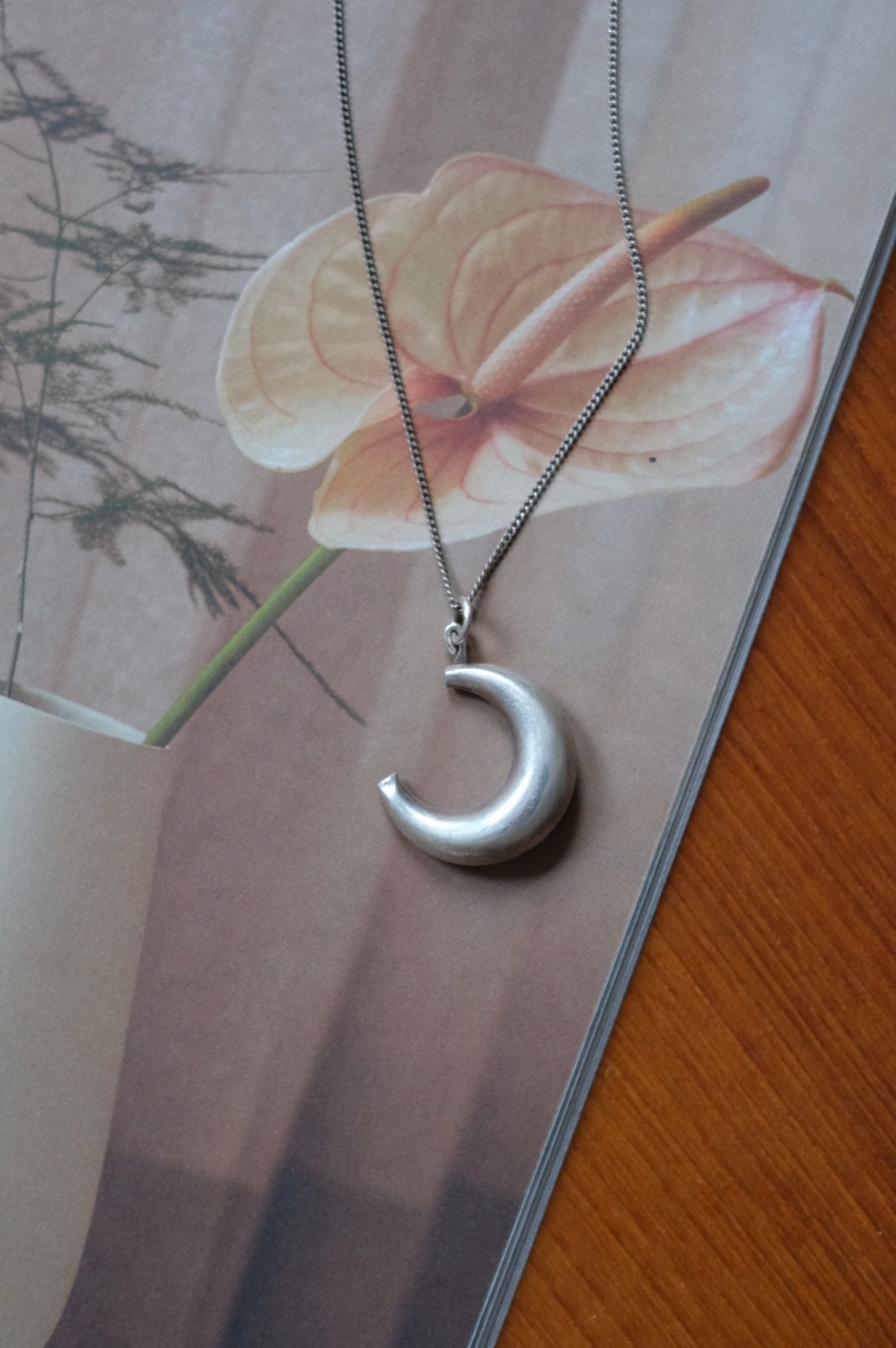 Silver Moon