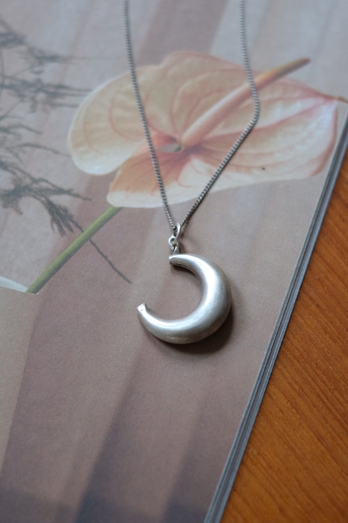 Silver Moon